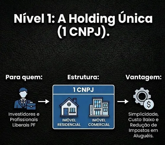 Diagrama da estrutura de holding única, com o patrimônio concentrado em um só CNPJ